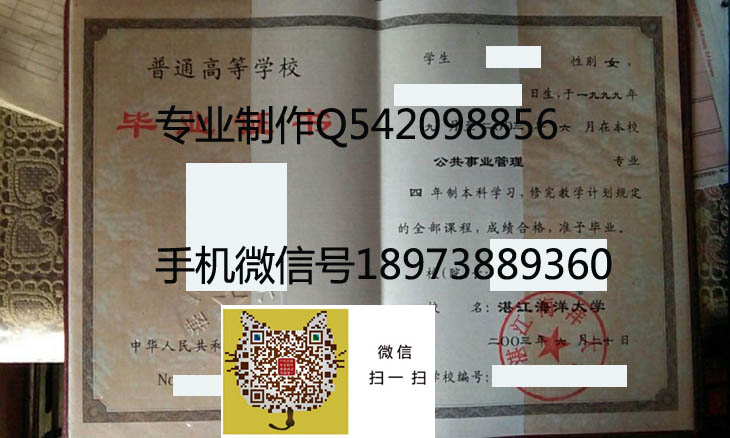 湛江海洋大学2003.jpg