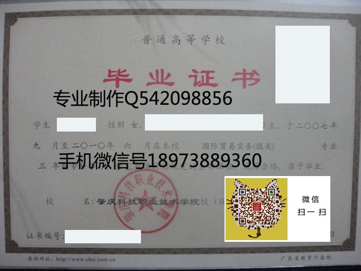 肇庆科技职业技术学院2010 拷贝.jpg