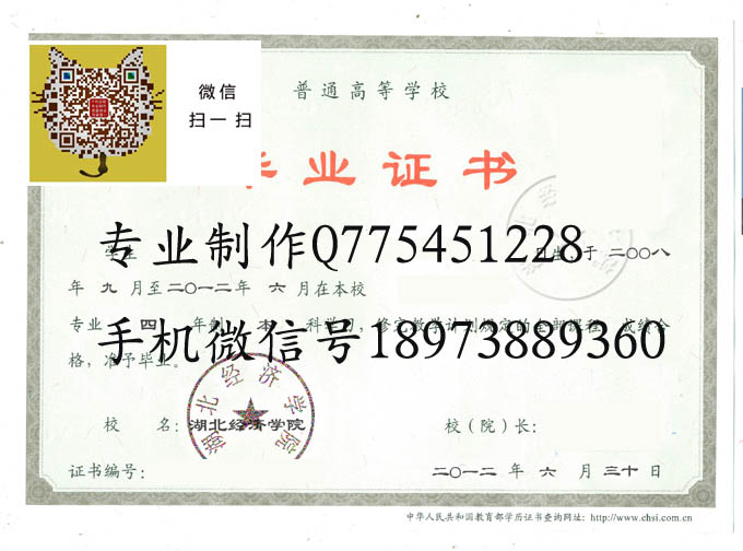 湖北经济学院2012 拷贝.jpg