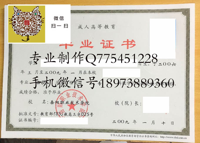 岳阳职业技术学院2009成人 拷贝.jpg