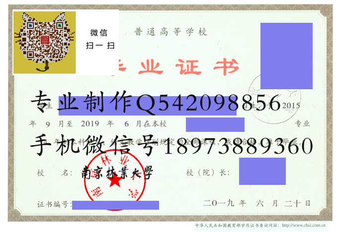 南京林业大学2019 拷贝.jpg