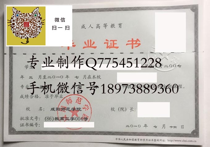 咸阳师范学院2010成人 拷贝.jpg