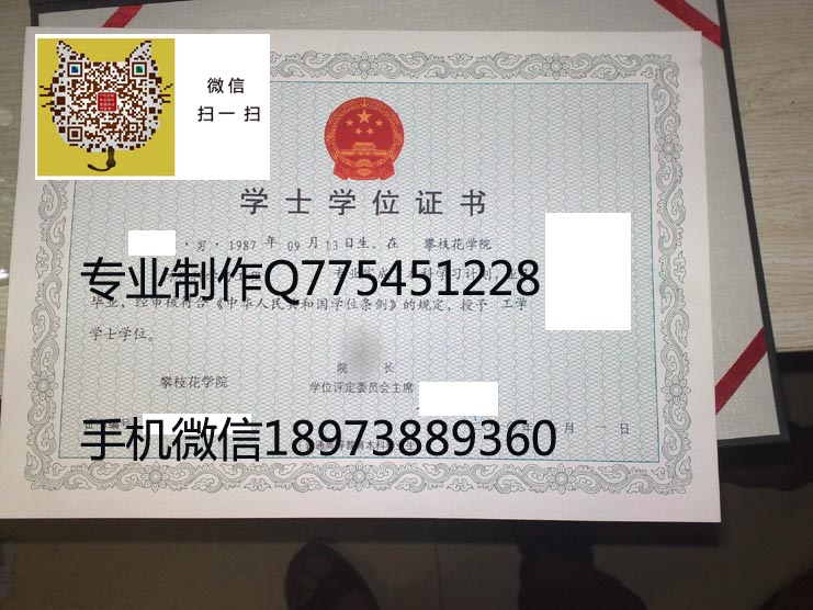 攀枝花学院学位证样本 拷贝.jpg