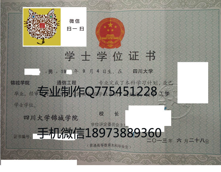 四川大学锦城学院2013学位.jpg