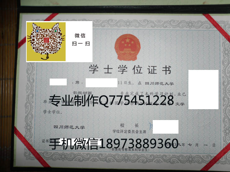 四川师范大学2009学位.jpg