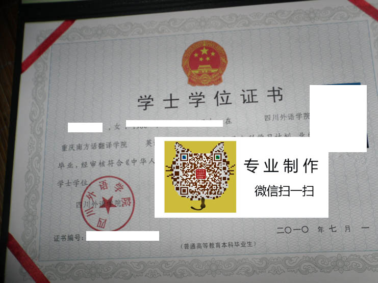 四川外语学院重庆南方翻译学院学位2010 拷贝.jpg