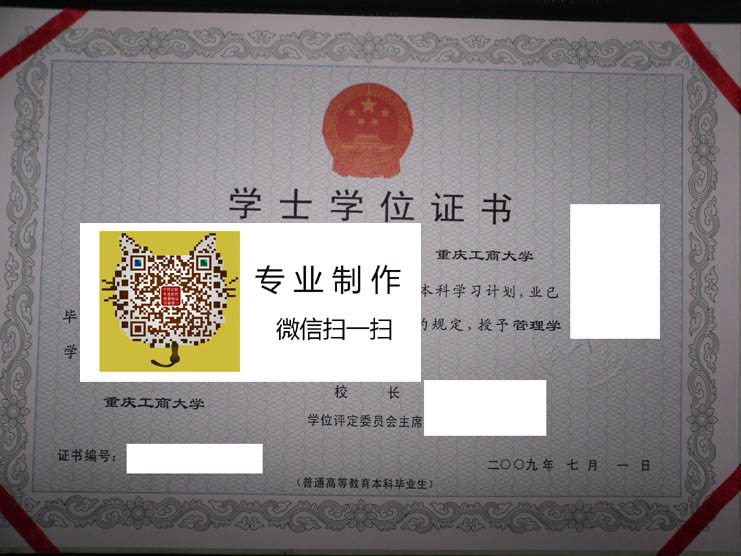 重庆工商大学2009学位 拷贝.jpg