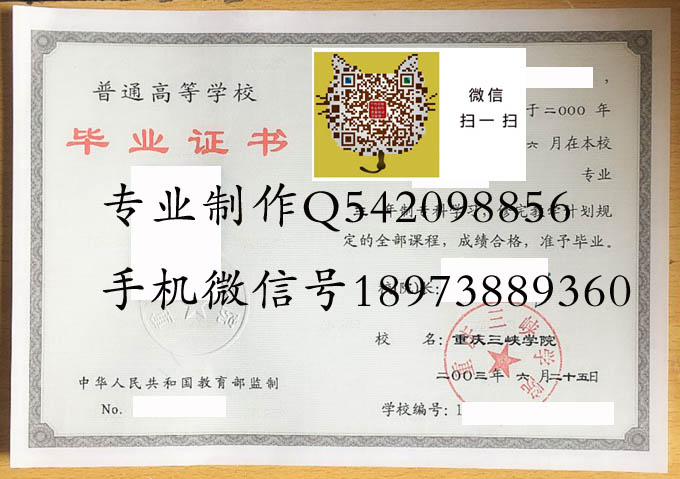 重庆三峡学院2003改 拷贝.jpg
