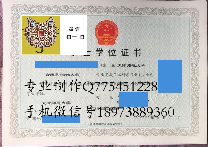 天津师范大学学位2013 拷贝.jpg