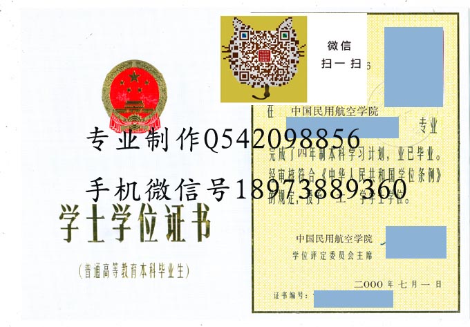 中国民用航空学院2000学位 拷贝.jpg
