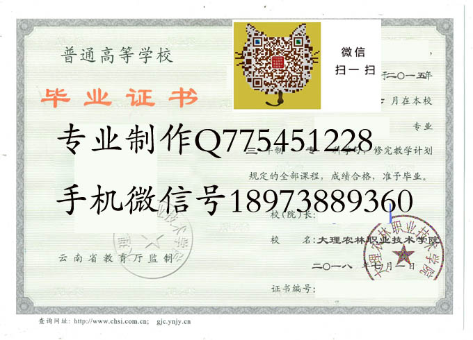 大理农林职业技术学院2018 拷贝.jpg