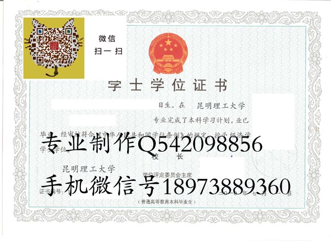 昆明理工大学2010学位 拷贝.jpg