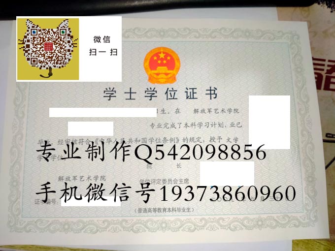 解放军艺术学院2009学位实物 拷贝.jpg