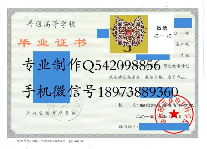 临沧师范高等专科学校2014 拷贝.jpg