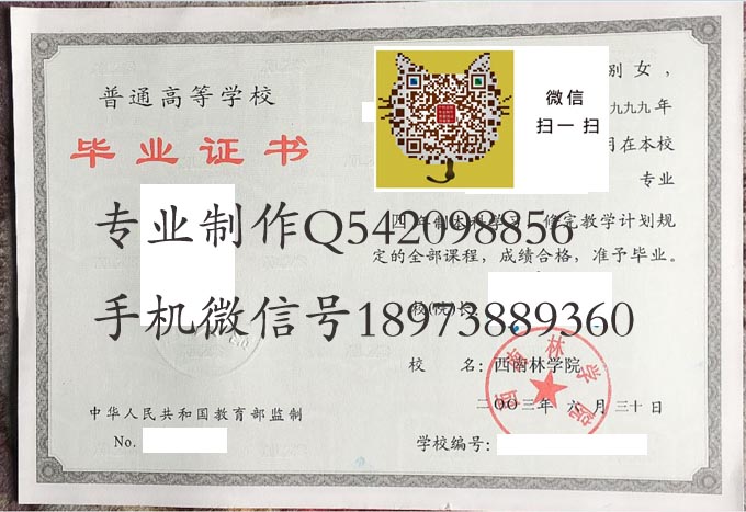 西南林学院2003 拷贝.jpg