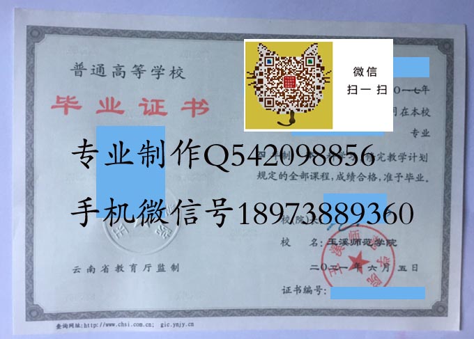 玉溪师范学院2021 拷贝.jpg