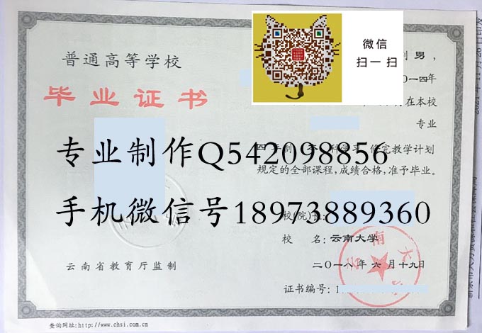 云南大学2018 拷贝.jpg