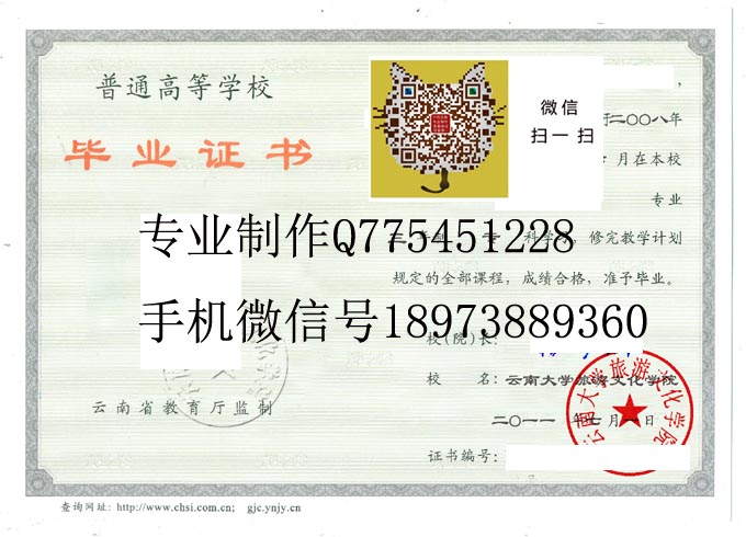 云南大学旅游文化学院2011电子版 拷贝.jpg