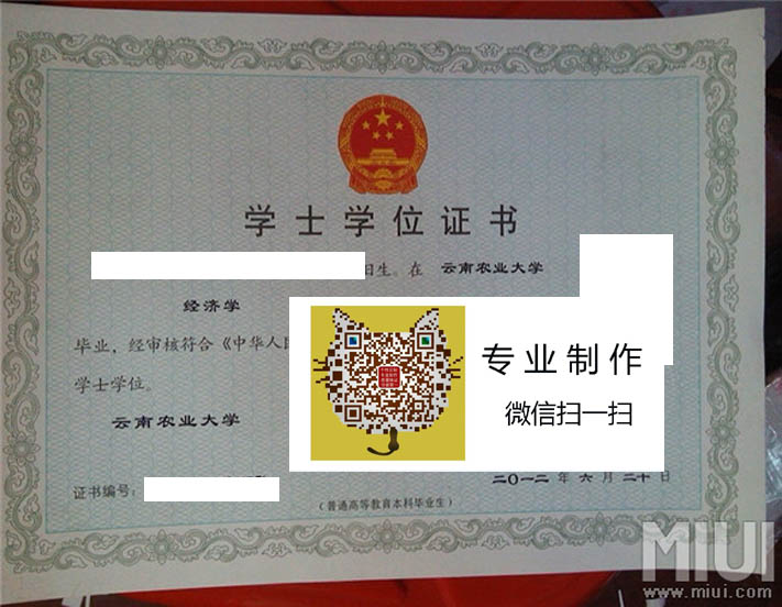 云南农业大学学位2012 拷贝.jpg