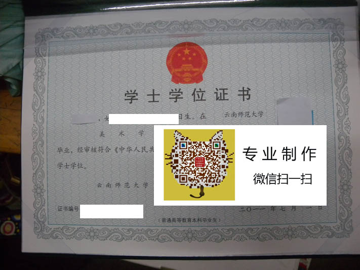 云南师范大学学位2014.jpg
