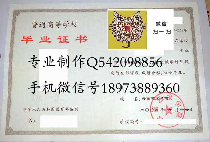 云南艺术学院2004 拷贝.jpg
