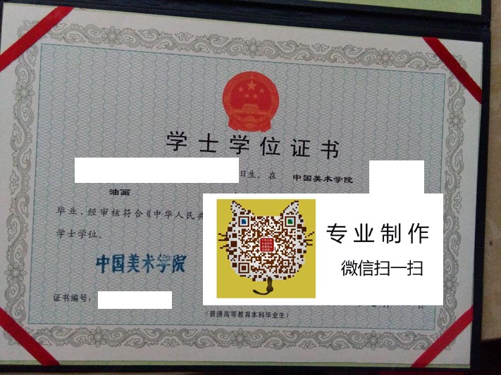 中国美术学院2011学位 拷贝.jpg