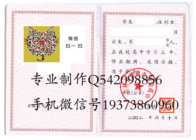 吉林省德惠市实验高中2002 拷贝.jpg