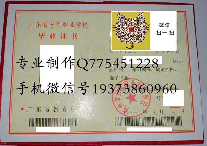广东省高州市信息职业技术学校2011 拷贝.jpg