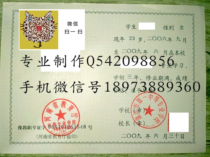 河南省漯河市第一中中等专业学校2009 拷贝.jpg