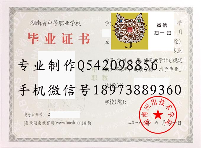 湖南应用技术学院中专2019 拷贝.jpg