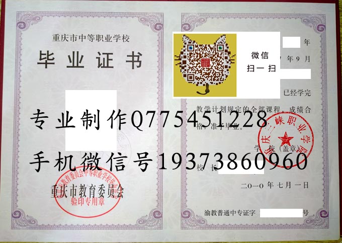 重庆三峡职业学院中专2010 拷贝.jpg