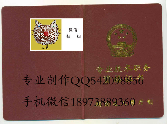 湖南职称外壳 拷贝.jpg