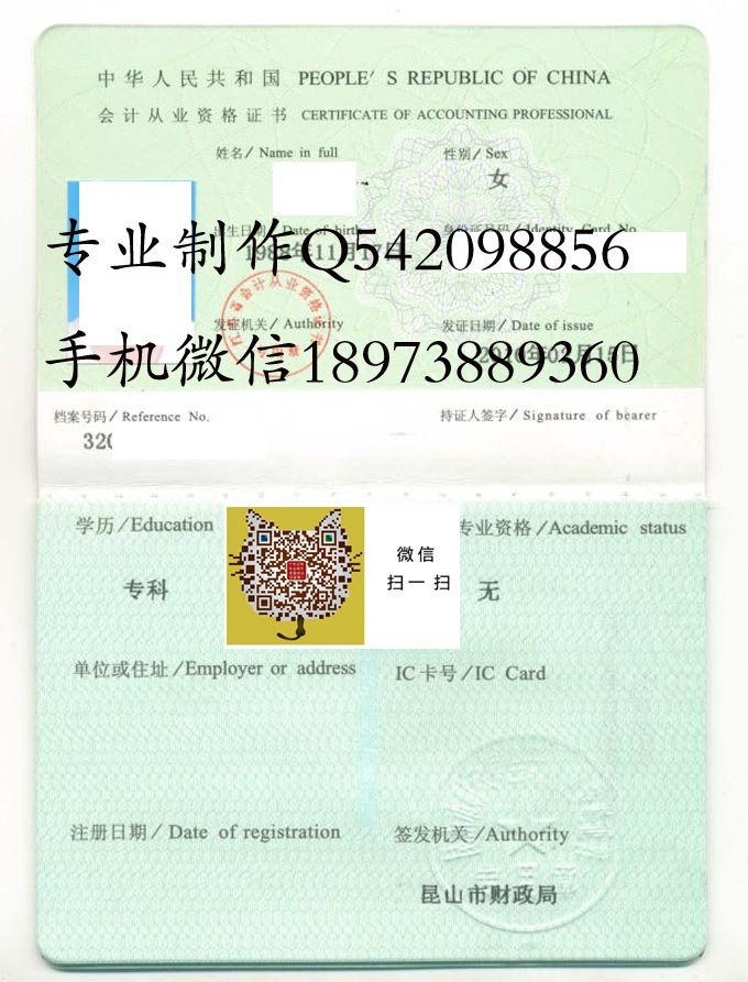会计从业 拷贝.jpg