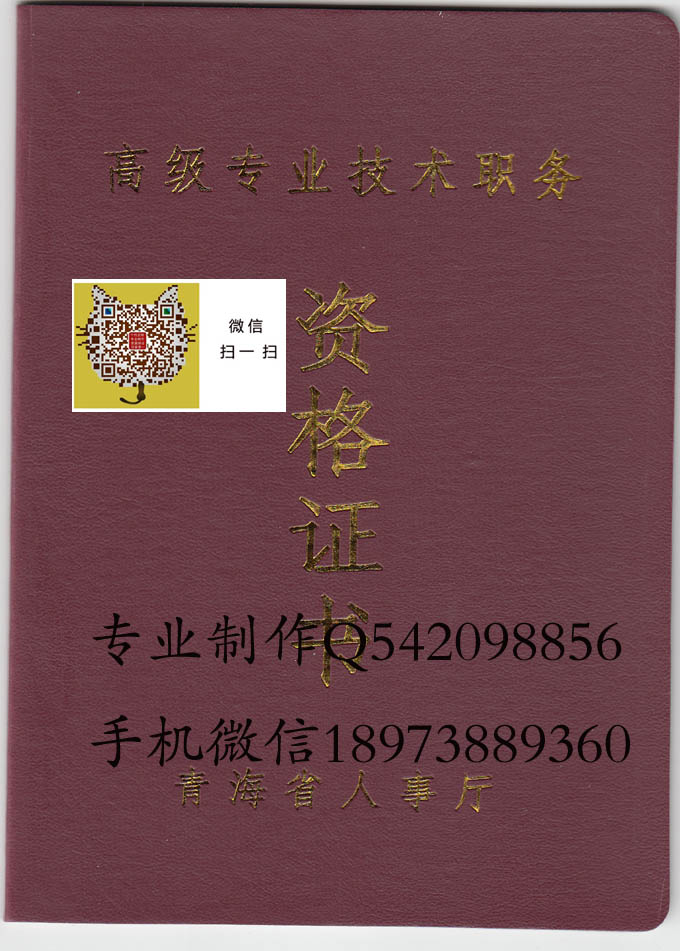 青海职称证书【封面】 拷贝.jpg