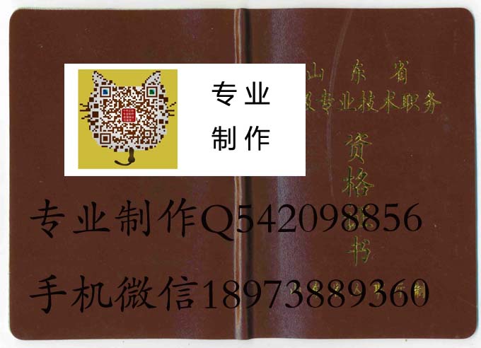 山东职称 拷贝.jpg