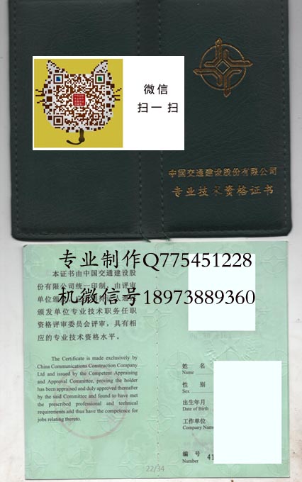 中国交通建设股份公司高级工程师外壳1 拷贝.jpg