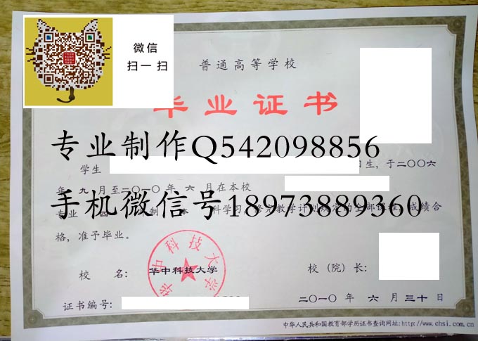 华中科技大学2010实物.jpg