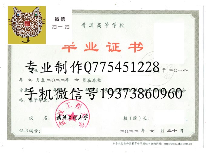 武汉工程大学2022 拷贝.jpg