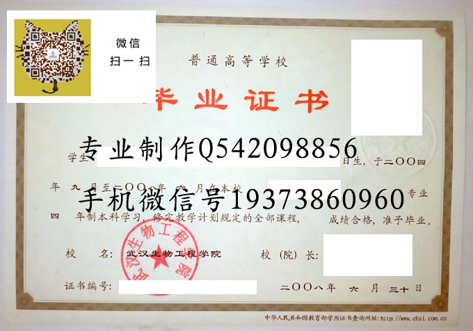 武汉生物工程学院2008实物 拷贝.jpg