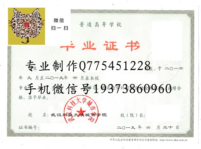 武汉科技大学城市学院2019 拷贝.jpg
