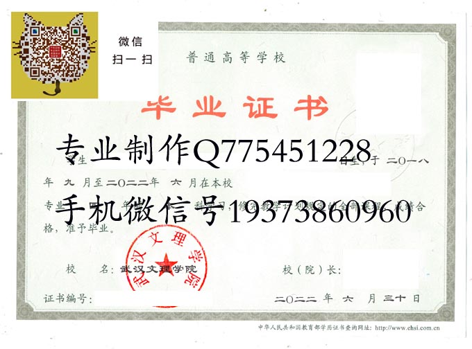 武汉文理学院2022电子 拷贝.jpg