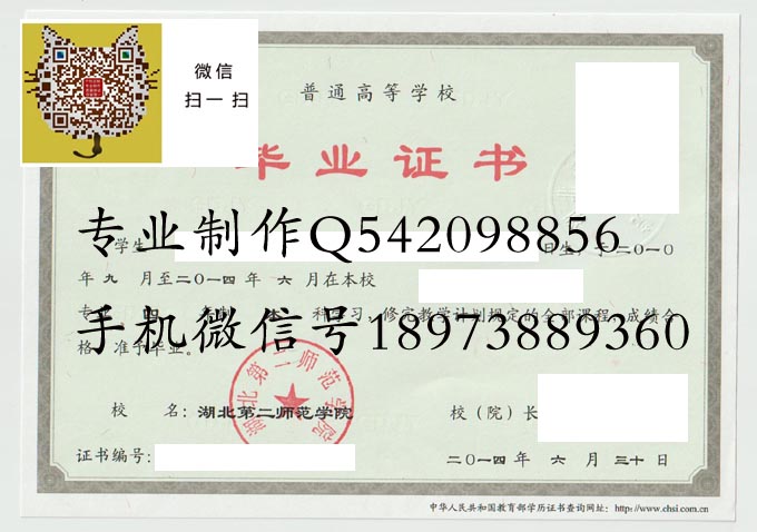 湖北第二师范学院2014扫描件 拷贝.jpg