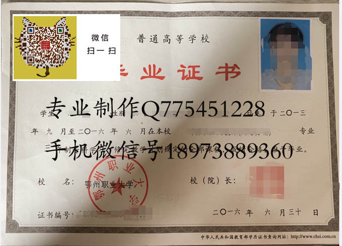 鄂州职业大学2016.jpg