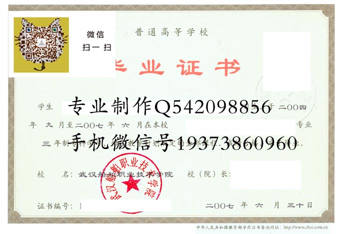 武汉船舶职业技术学院2007 拷贝.jpg