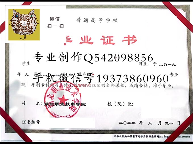 湖北职业技术学院2022 拷贝.jpg