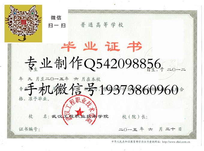武汉工程职业技术学院2015电子 拷贝.jpg