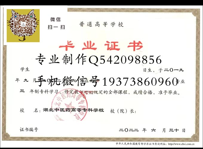 湖北中医药高等专科学校2022 拷贝.jpg