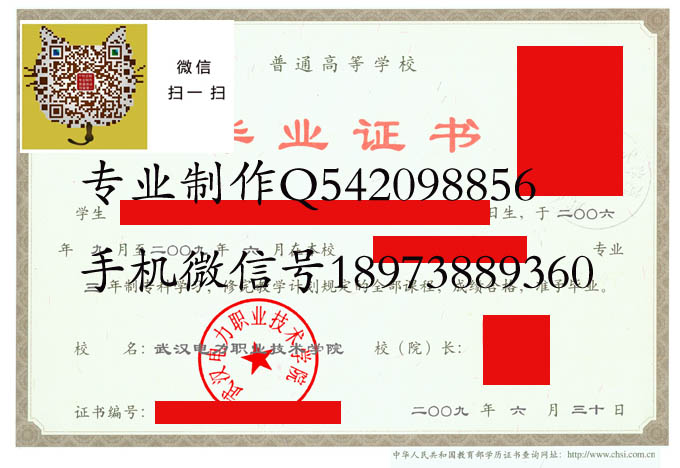 武汉电力职业技术学院2009 拷贝.jpg