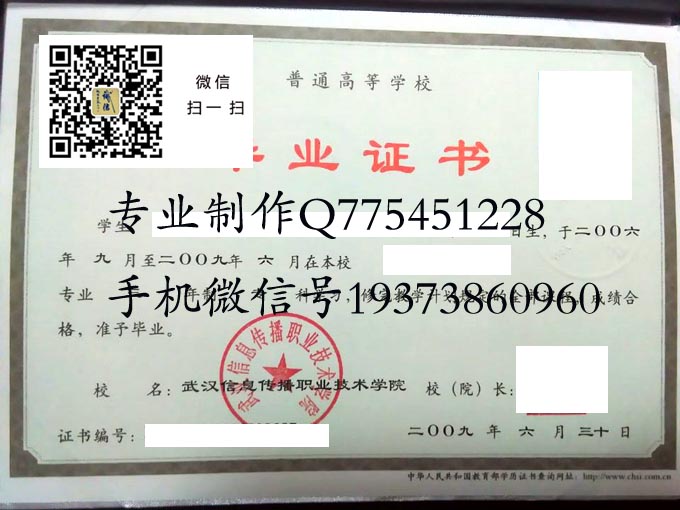 武汉信息传播职业技术学院2009 拷贝.jpg