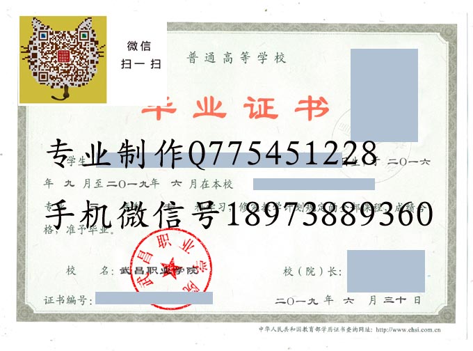 武昌职业学院2019 拷贝.jpg